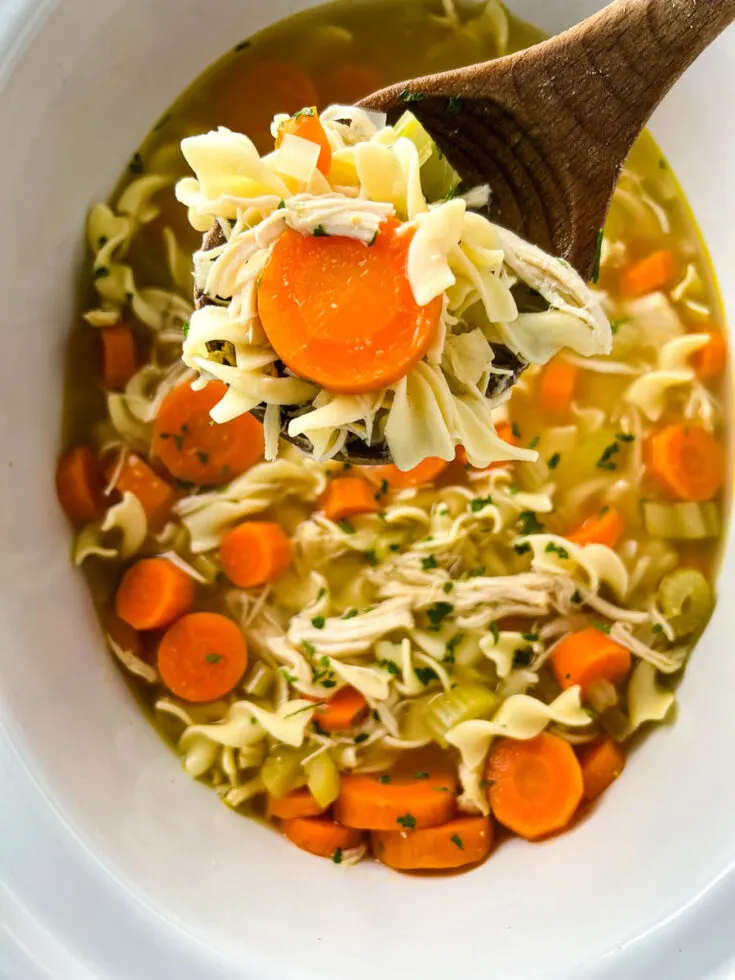 classic chicken noodle soup