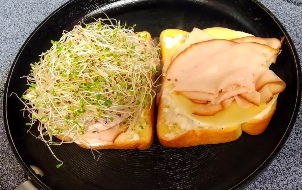 sandwich melt with sprouts