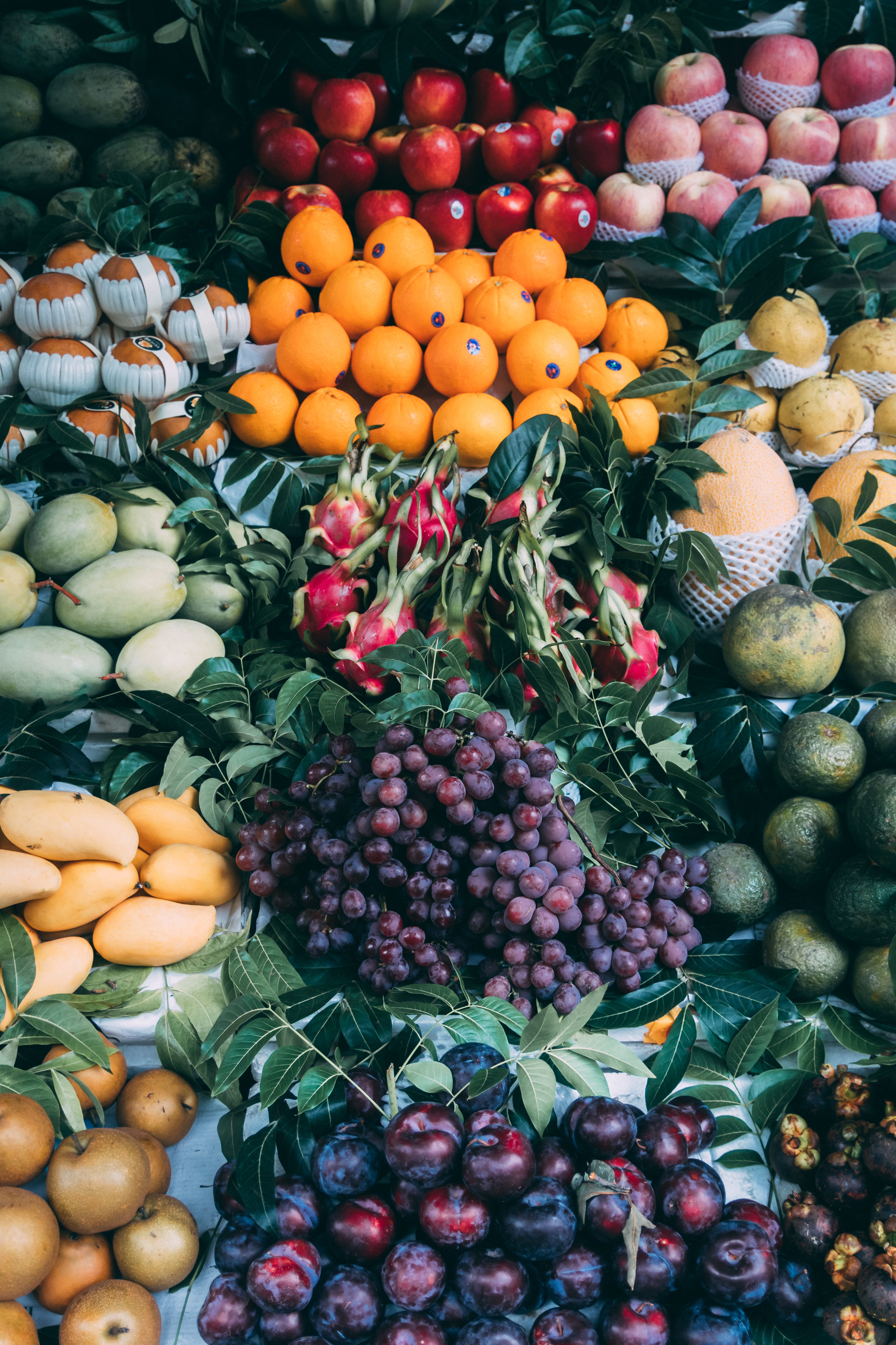 farmer's market