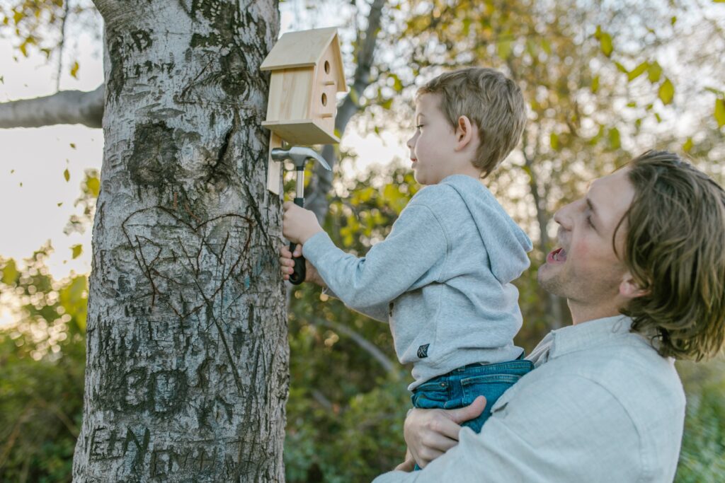 handing a bird feeder