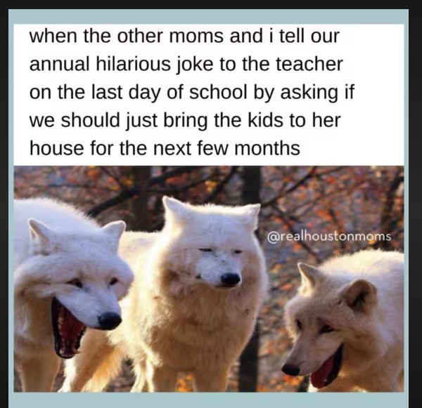 back to school memes for parents