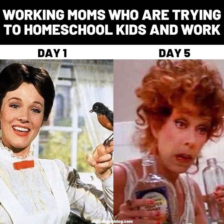 back to school memes for parents