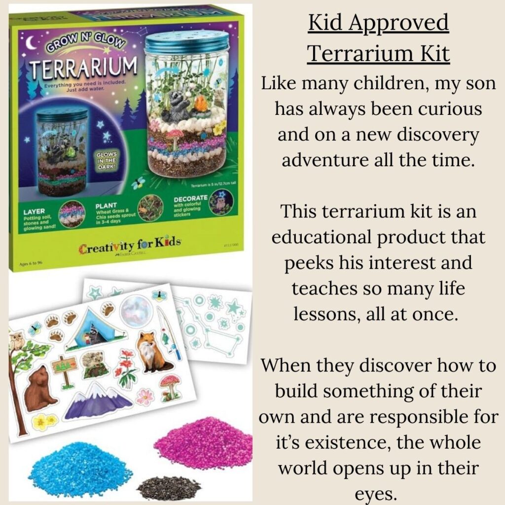 terrarium kit for kids