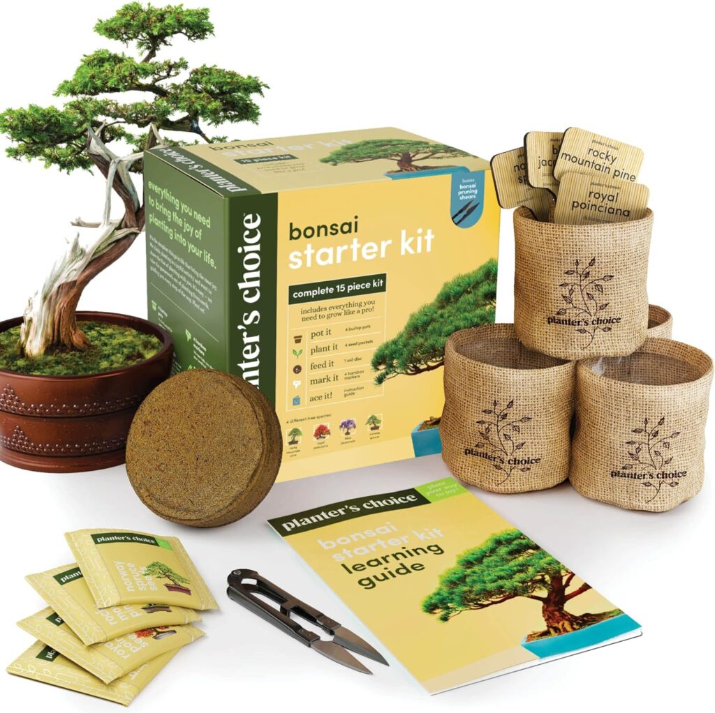 Bonsai garden starter kit